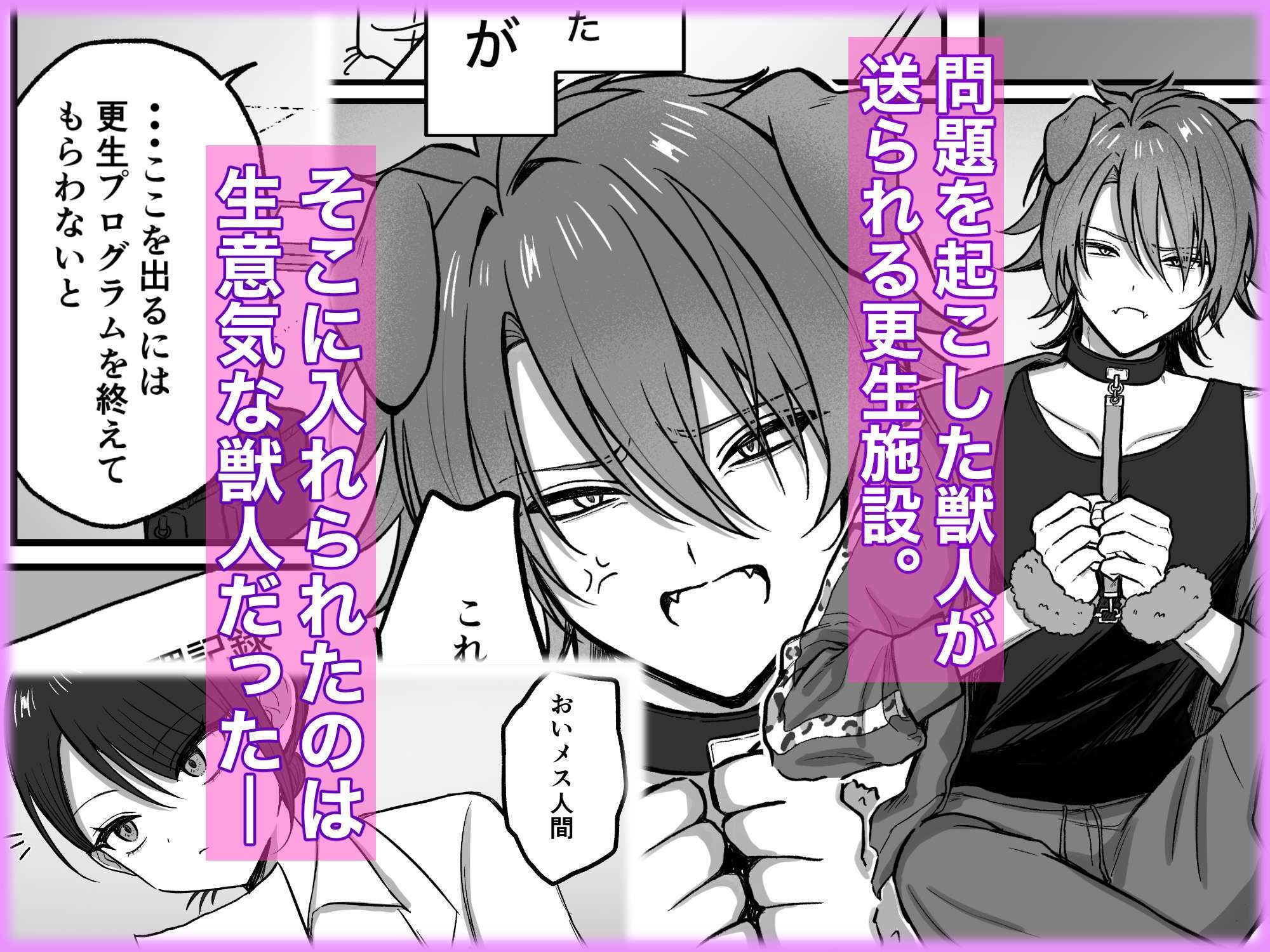 ナマイキ獣人を更生させるお仕事