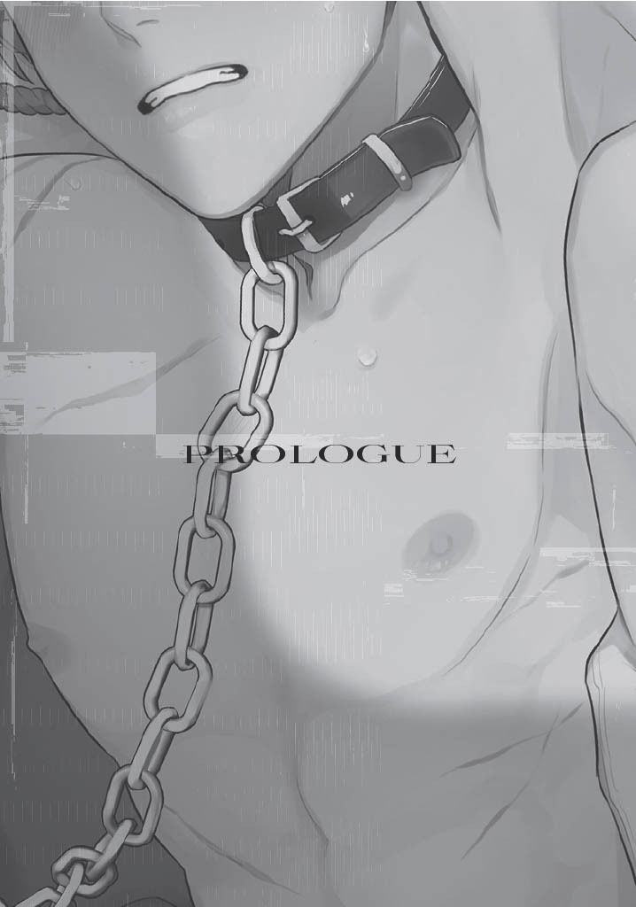 【ノベル】騎士団長をメス堕ちさせたのは誰か（単話版1）
