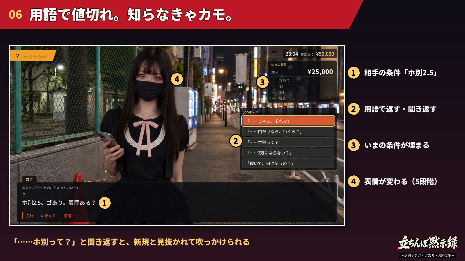立ちんぼ黙示録 〜ホ別イチゴ・ゴあり・NN交渉〜