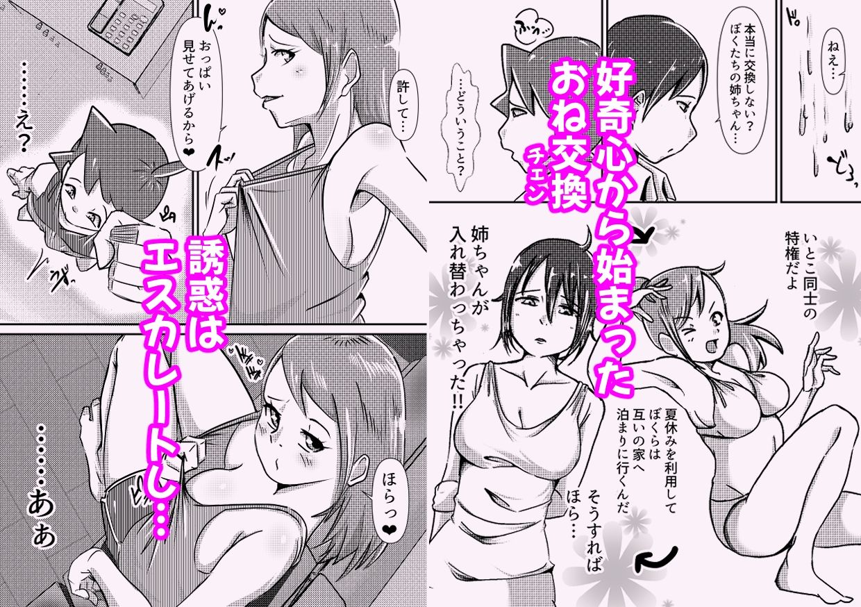 おねチェン いとこのオナニーで発情したおねえちゃん ぷにぷにボディで誘惑し包茎ちんちんを射精させまくるっ!!