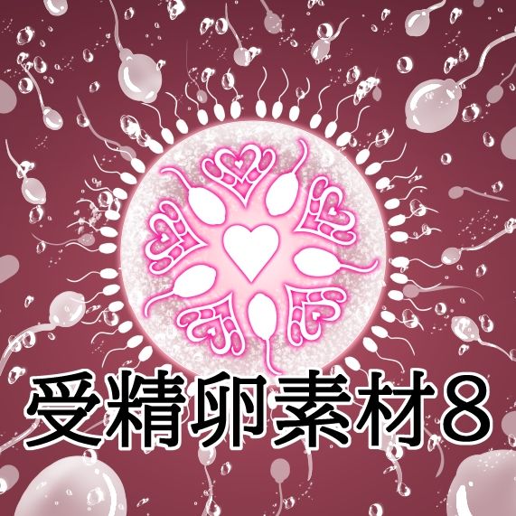 受精卵素材8