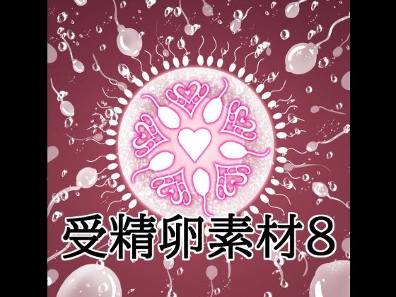受精卵素材8