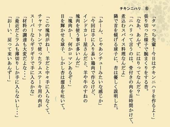 インドカレー伊予島のお手軽レシピ帖 三の章