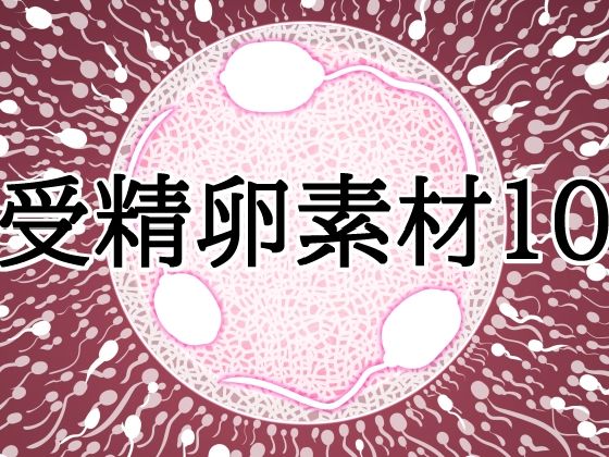 受精卵素材10