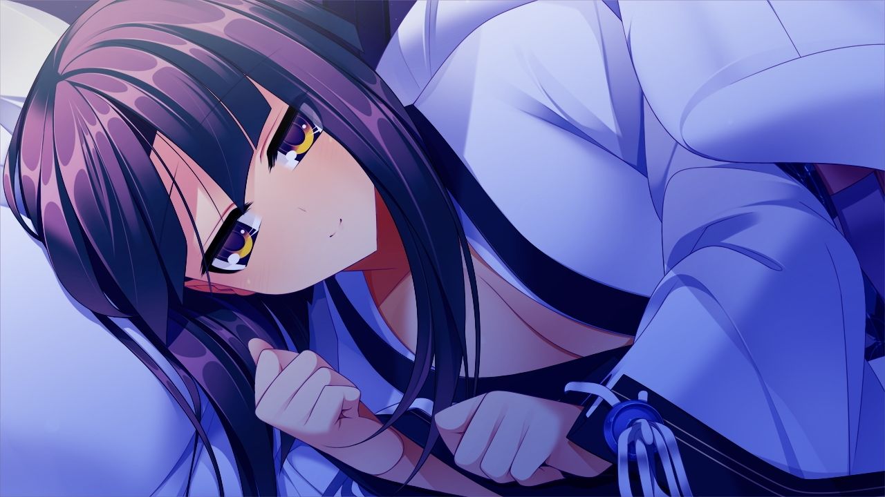 戦極姫3 〜天下を切り裂く光と影〜 デラックス Win11対応版【本編＋遊戯強化版】
