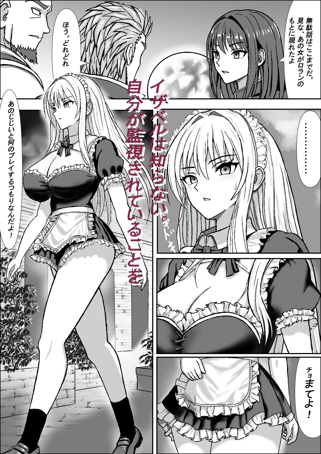 高貴な女騎士イザベルの暴かれる夜