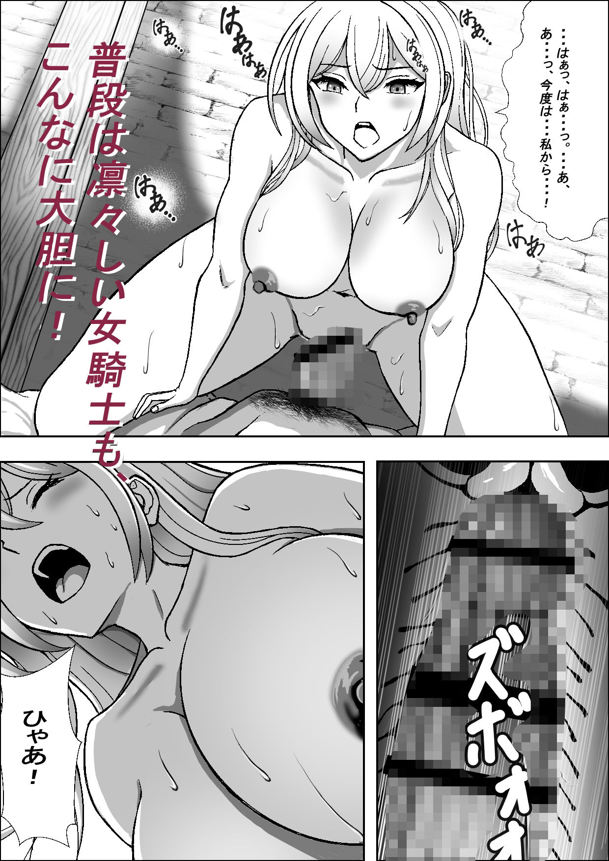 高貴な女騎士イザベルの暴かれる夜