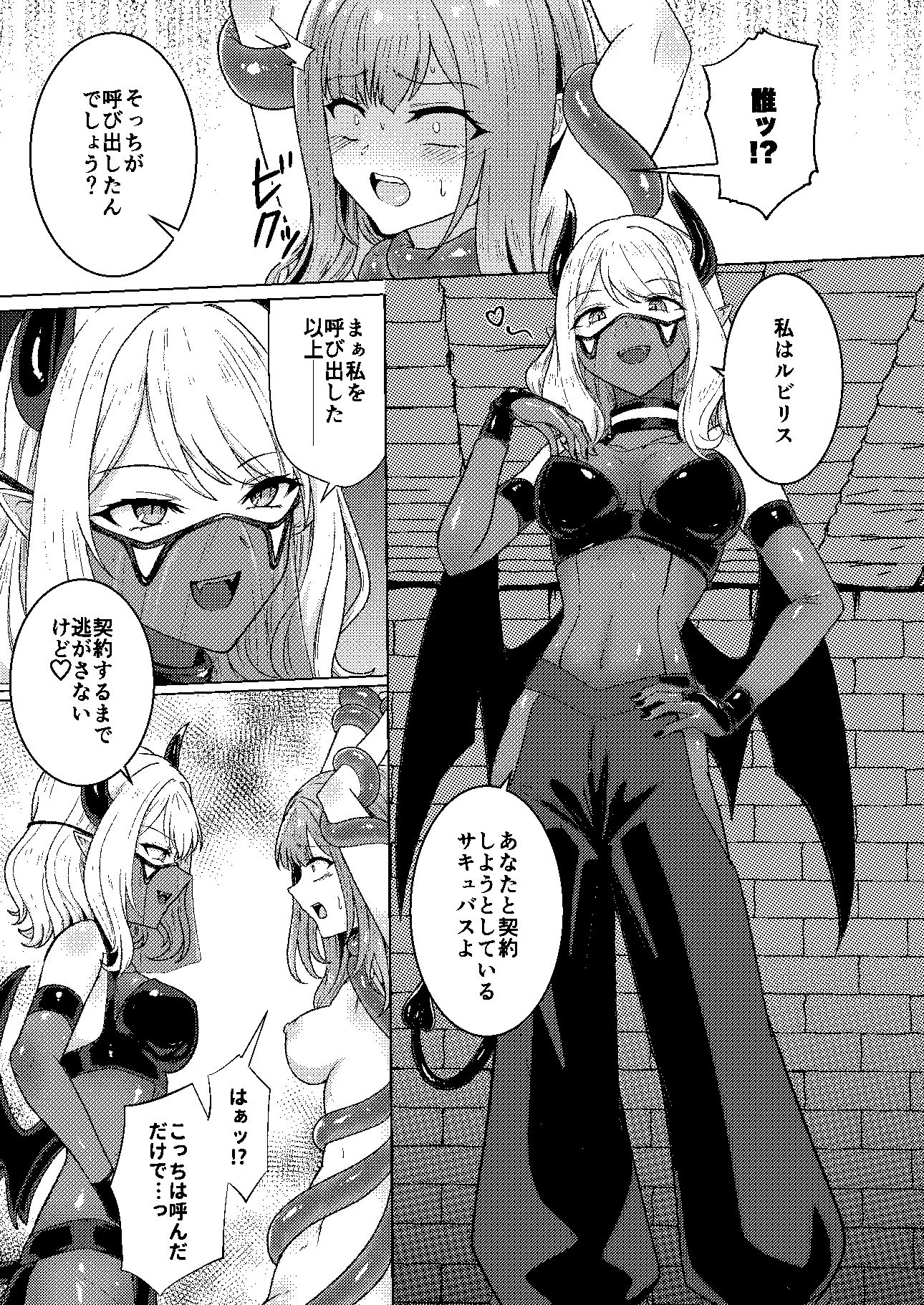 サキュバス・コントラクト