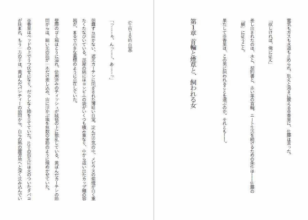 ニート雌豚開発計画-ニートからペットへ