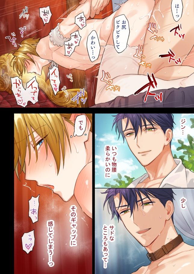 ツンデレ王子のハメ探し〜夜の婚礼〜