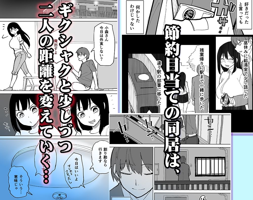 2LDKを半分にしただけ