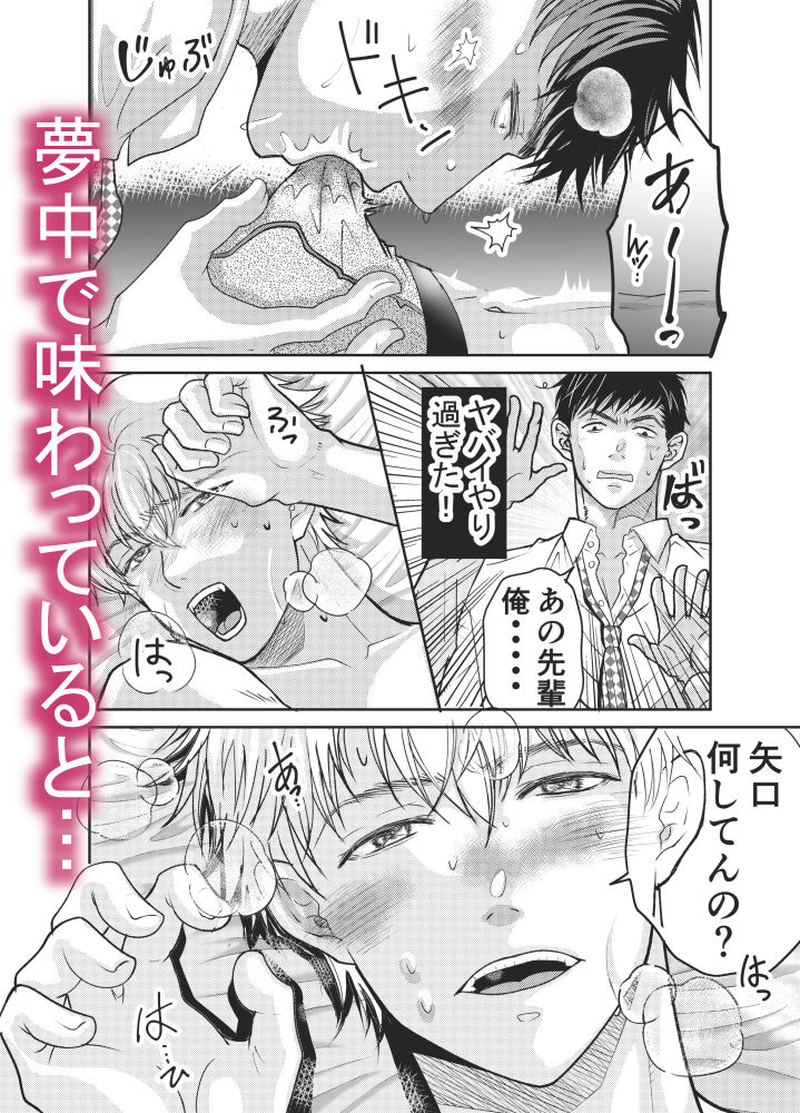 会社の先輩の家にオトナのおもちゃがあったので