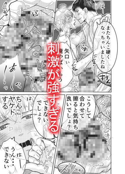 会社の先輩の家にオトナのおもちゃがあったので