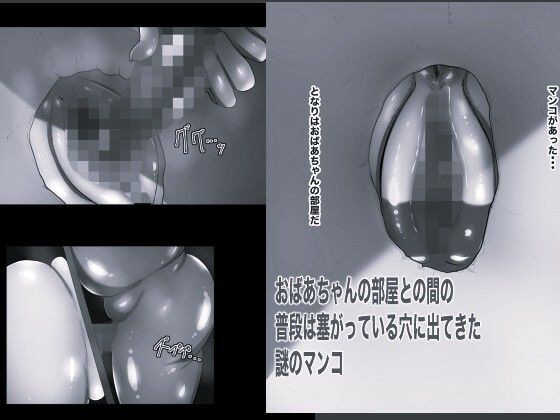 壁マンコ おばあちゃんと孫のガチ小作りセックス5 モノクロ版