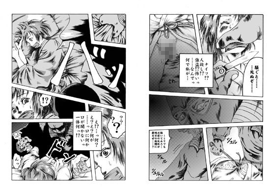 欲望回帰-不法侵入強●猥褻事件簿-母娘編&女子大生編