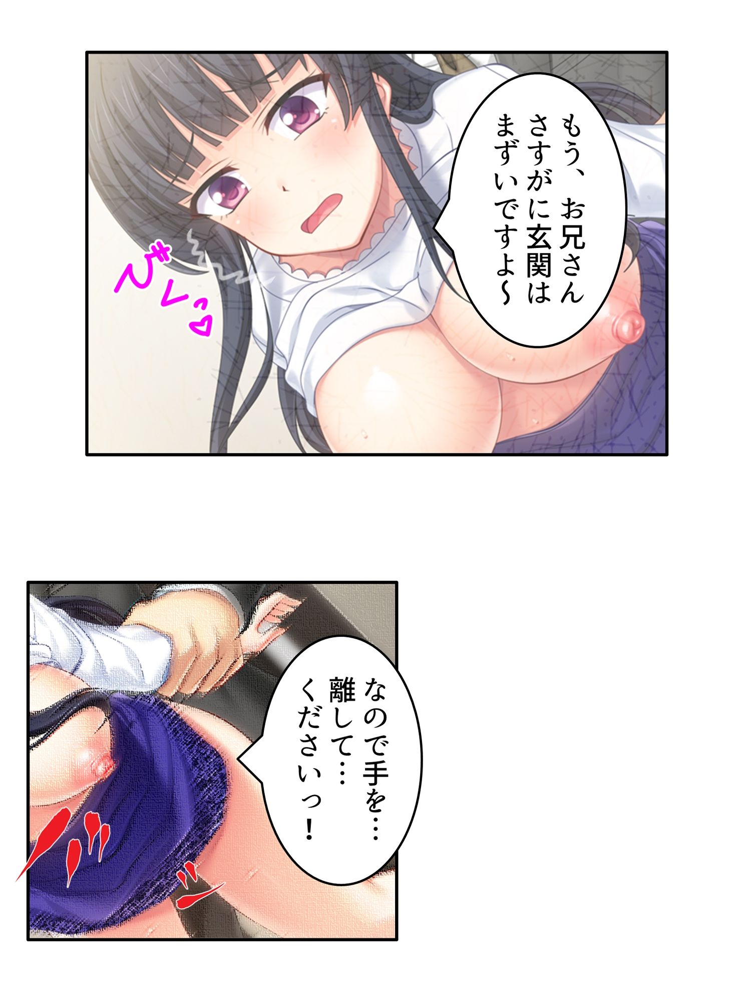 義妹との爛れた新性活!家でも外でもセックス三昧!! <総集編>