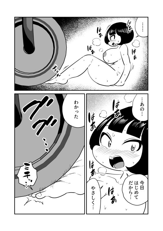 デカローラーに平面化された話