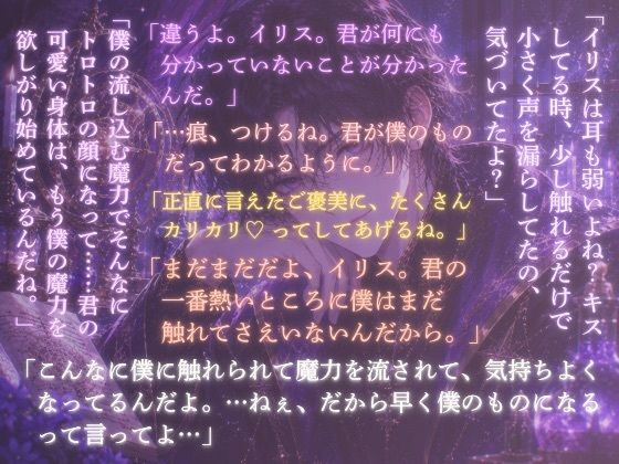 魔力を消すだけの転生地味女ですが、身を引こうとしたら、天才イケメン魔法使い様の閉じ込め溺愛えっちから逃げられなくなりました