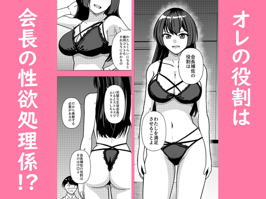 カリスマ生徒会長の性処理要員に任命されました
