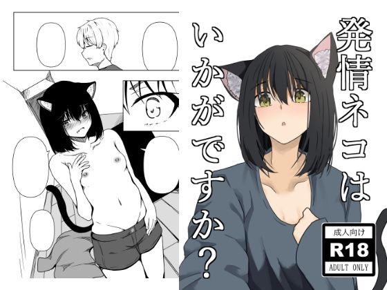 発情ネコはいかがですか？